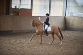 04 CdD Schäferhof 10-2-17 04 CdD Schäferhof 10-2-17
