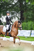 Pony-Dressur Kl L