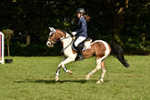 E-Stilspringen