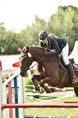 Stilspringen Kl L   LK 4-5