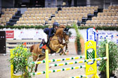 27 SHS Holstein International 2017- Neumünster 27 SHS Holstein International 2017- Neumünster