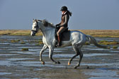 St Peter ording 1-2