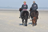 St Peter Ording 11+12