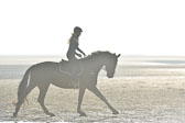 St peter Ording 14