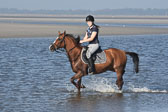St Peter Ording 3+4