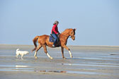 St Peter Ording 5+6