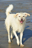 St Peter Ording 5+6