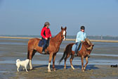 St Peter Ording 5+6