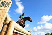 CIC*