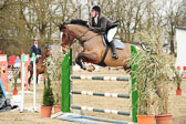 Springen L