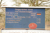 Springpferde L
