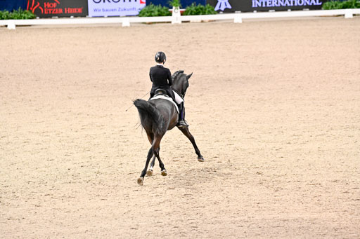 VR Classics Neumünster Dressage