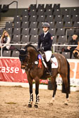 Ponystilspringen KL L