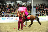 Showwettkampf der Reitvereine