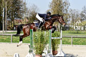 Springen M*
