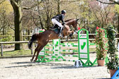Springpferde L