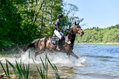 CCI** Gelände