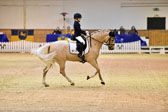Pony Dressur KL L Tr