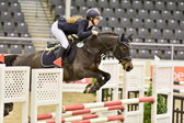 Ponystilspring Kl L