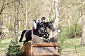 Luhmühlen CIC*** 31.3.2019 Luhmühlen CIC*** 31.3.2019