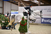 Prfg 3 Springpferde L