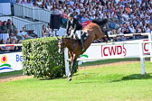 Derby Finale