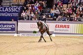 Dressur Qualifikation