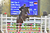 Springpferde A*