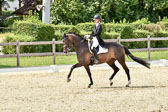 Viereck 1