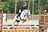 Springen