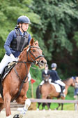Springen