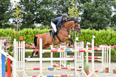 Prfg 12 Springen KL S*