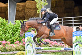Prfg 17 Springen Kl L Amateure