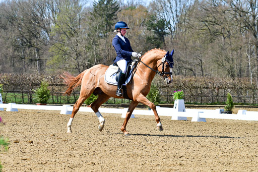 Bremervörede Dressur