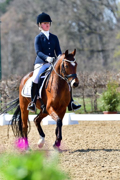 Dressurpony A