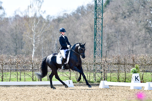 Dressurpony A