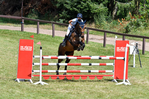 Springen M Youngster U25 1 Springen M Youngster U25 1