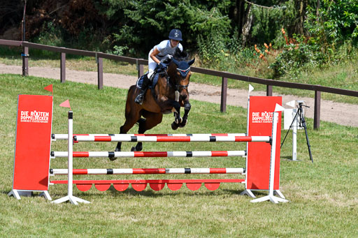 Springen M Youngster U25 1