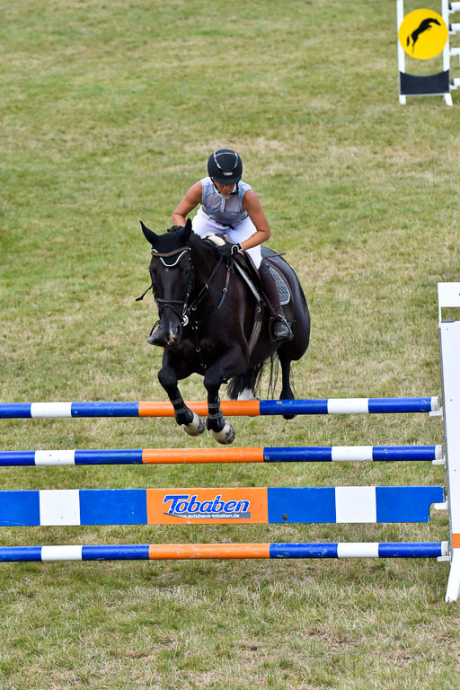 Springen M Youngster U25 1