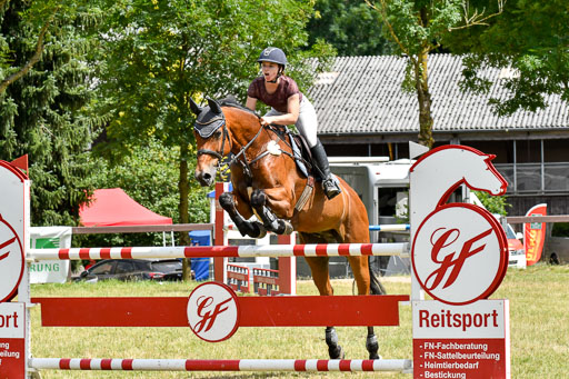 Springen M Youngster & U25 2