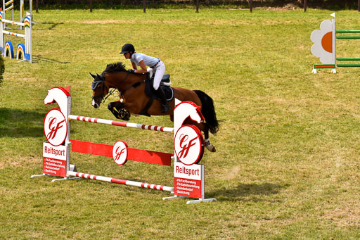 Springen S mit Stechen