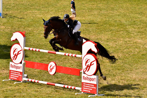 Springen S mit Stechen Springen S mit Stechen
