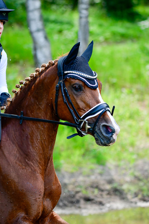 Gelaenderitt KL E  2 Abt