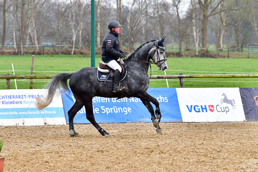 Springpferde A*