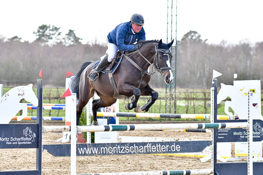 Springpferde L