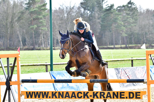 Springpferde M