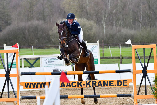 Springpferde M