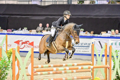 Pfg 3 Bronze Grand Prix