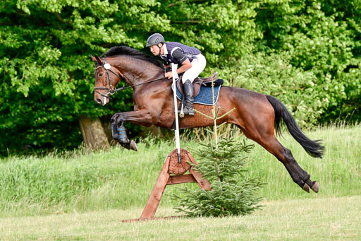 SH LandesChamp GPF L
