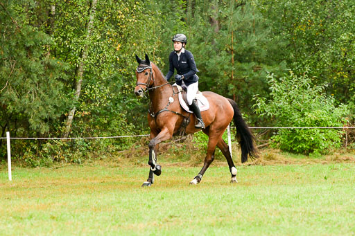 Springen CCI